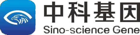 中科基因logo.png